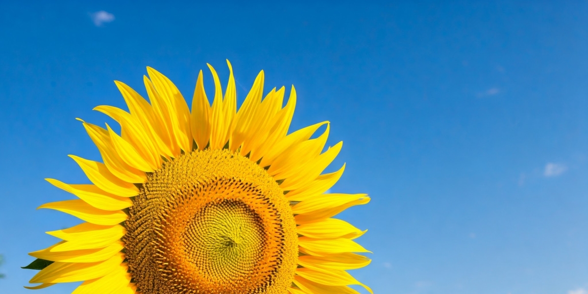 8 Career Advancement Strategies That Actually Accelerate Your Career